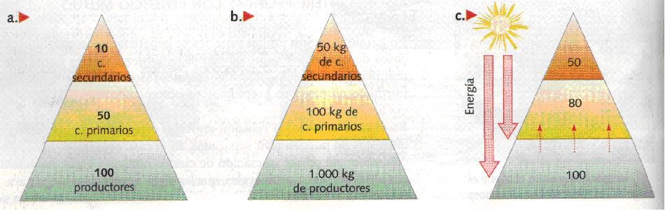 Piramides