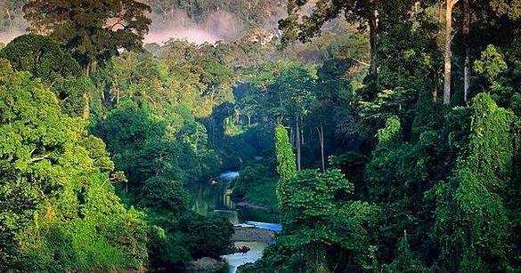 amazonia